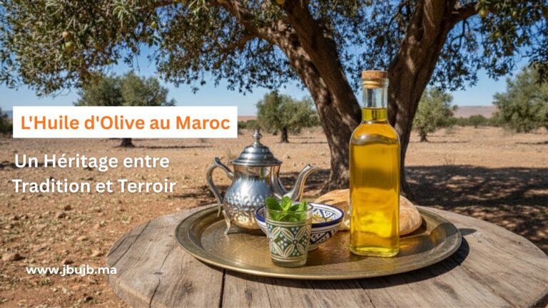 L’huile d’olive marocaine : un voyage en plusieurs chapitres