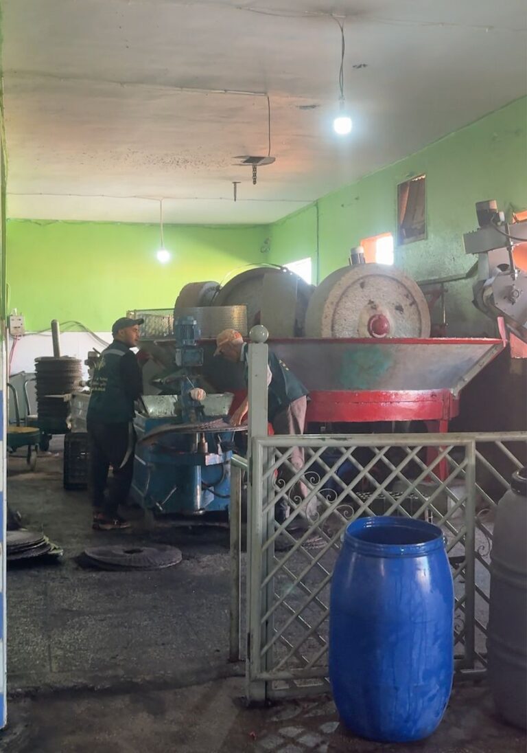 Épisode 3 – De l’olive à l’huile : comment l’extraction façonne la qualité au Maroc